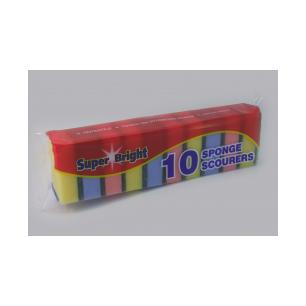 Scourers 10Pk